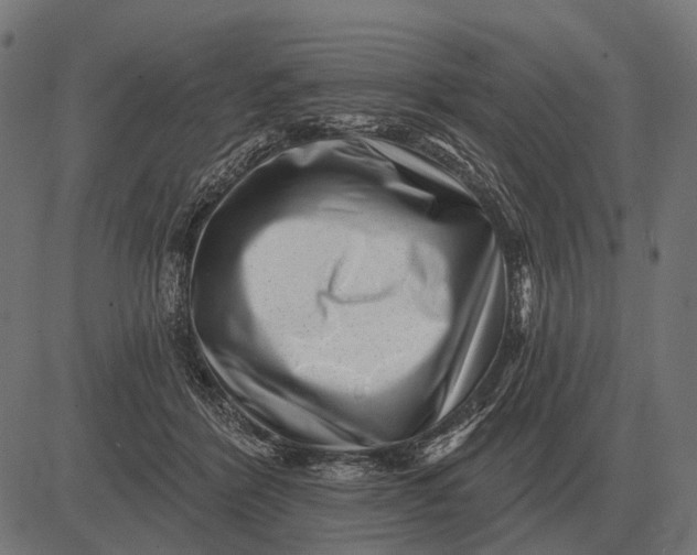 X0000082730412200702091842