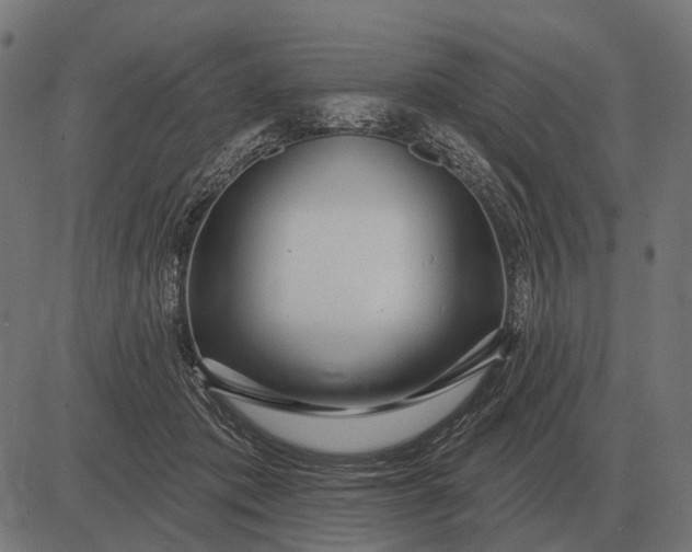 X0000082730413200702091842