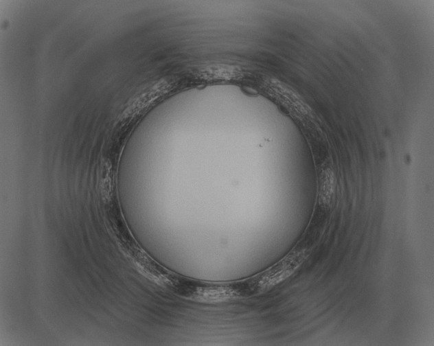 X0000082730414200702091842