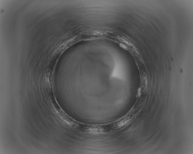 X0000082730415200702091842