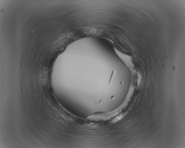 X0000082730416200702091842