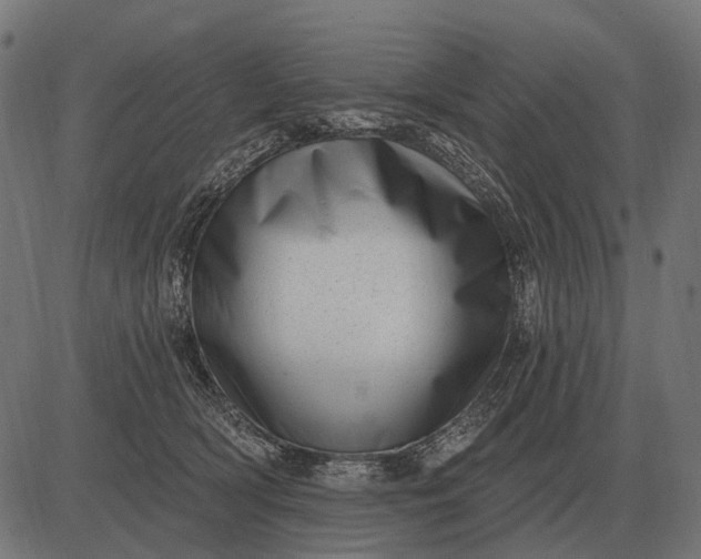 X0000082730418200702091842