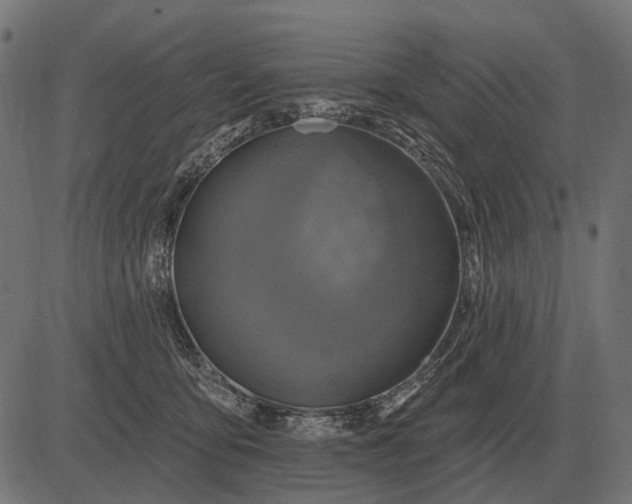 X0000082730419200702091842