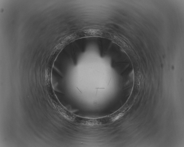 X0000082730420200702091842