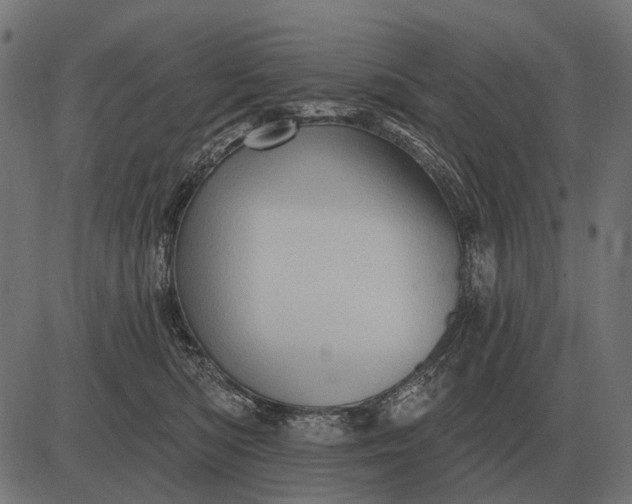 X0000082730422200702091842