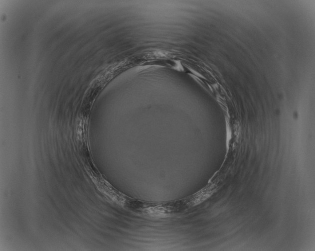 X0000082730423200702091842