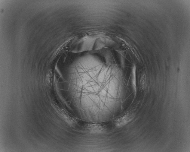 X0000082730424200702091842