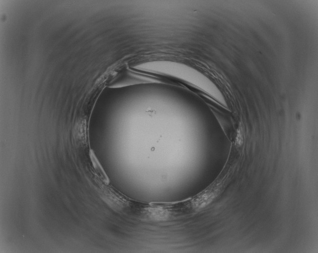 X0000082730425200702091842