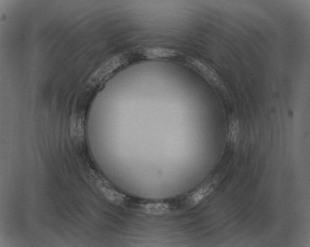 X0000082730426200702091842