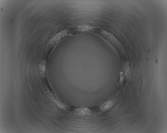 X0000082730427200702091842