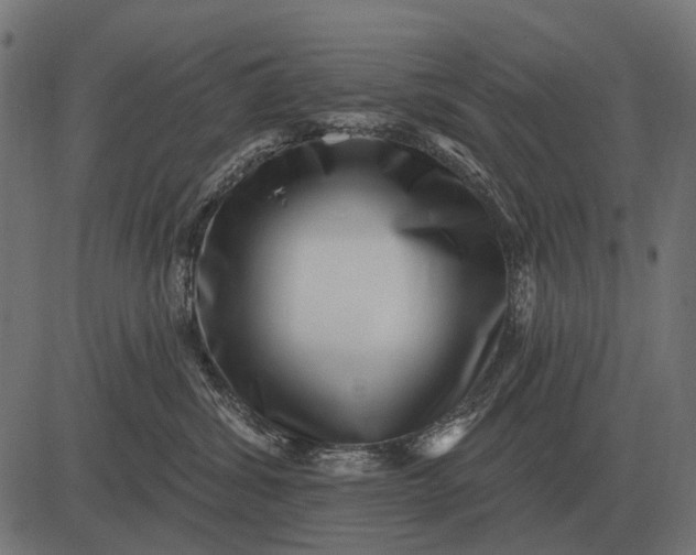 X0000082730428200702091842