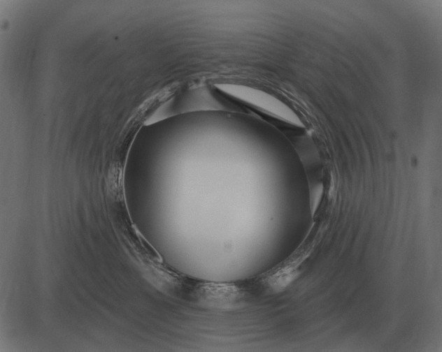 X0000082730429200702091842