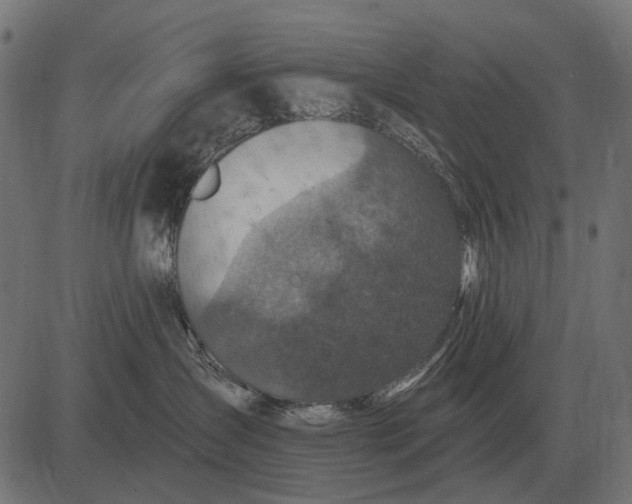 X0000082730431200702091842