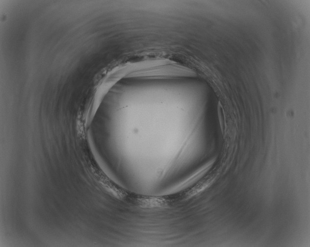 X0000082730432200702091842