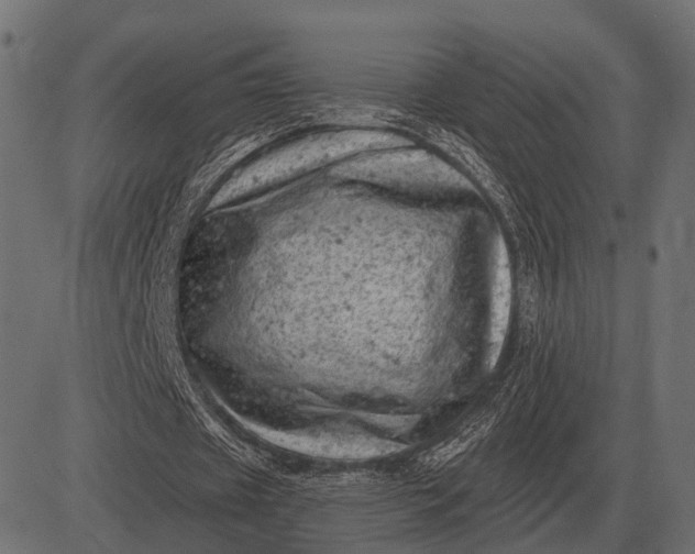 X0000082730433200702091841