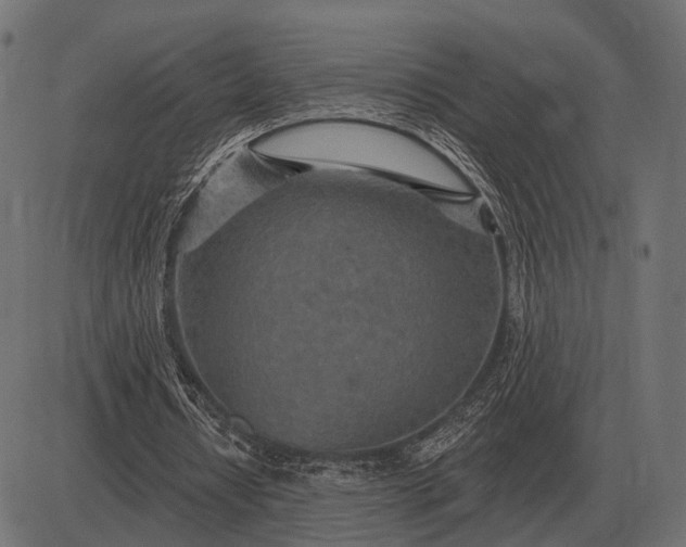 X0000082730434200702091841