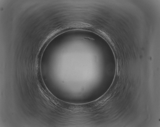 X0000082730435200702091841