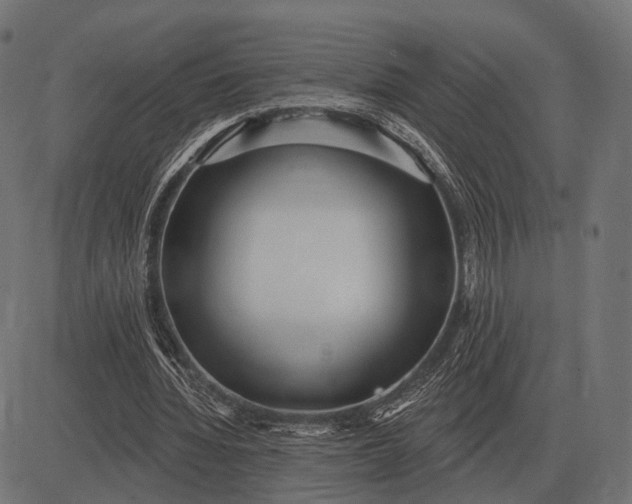 X0000082730436200702091841