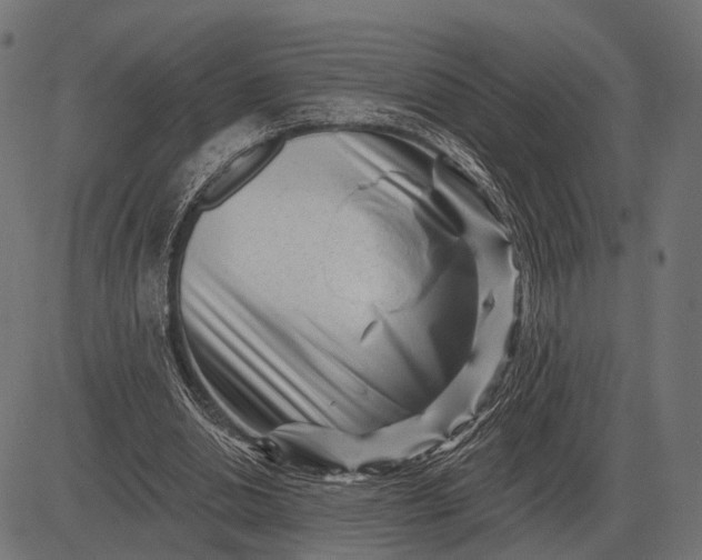 X0000082730438200702091841