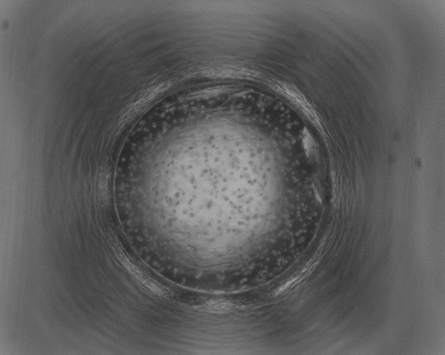 X0000082730441200702091841