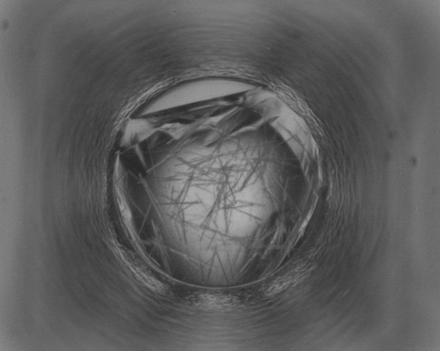 X0000082730442200702091841