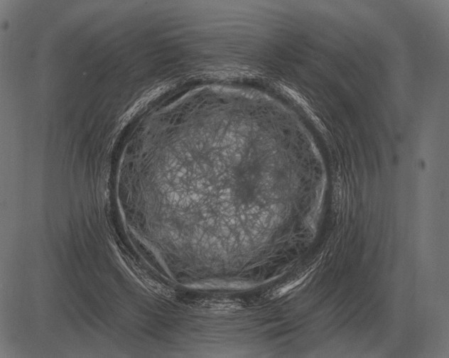 X0000082730443200702091842