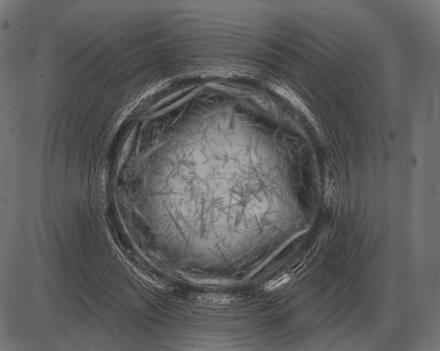 X0000082730444200702091842