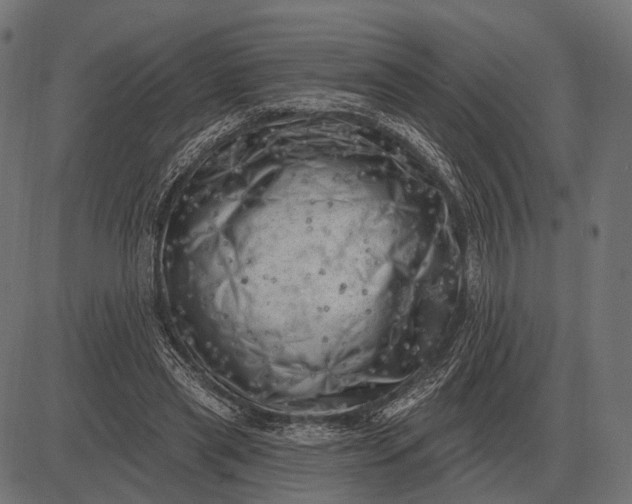 X0000082730445200702091842