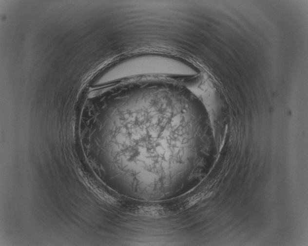 X0000082730446200702091842