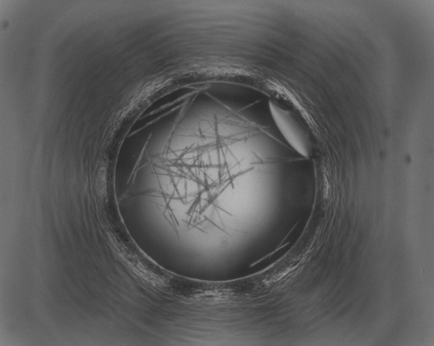 X0000082730447200702091842