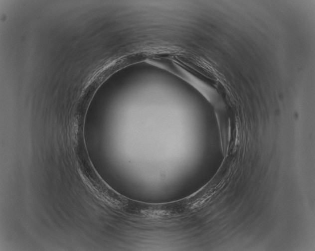 X0000082730448200702091842