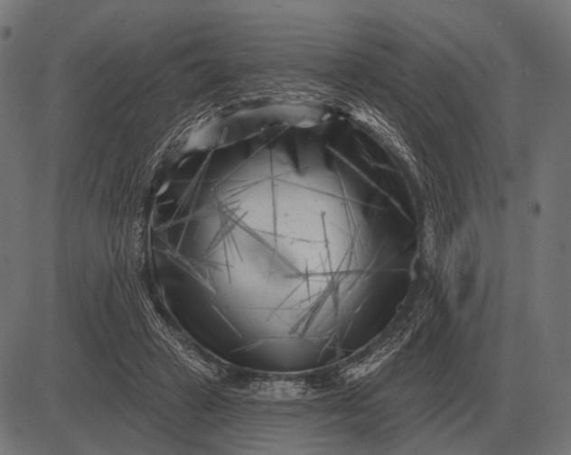 X0000082730449200702091842