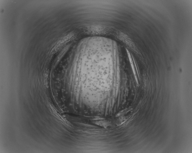 X0000082730450200702091842