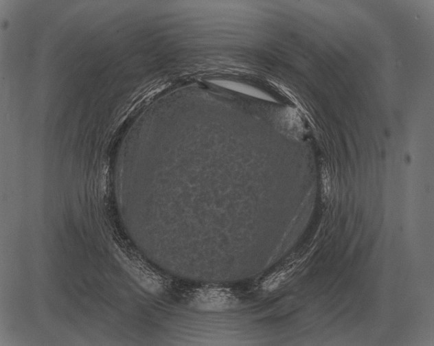 X0000082730451200702091842