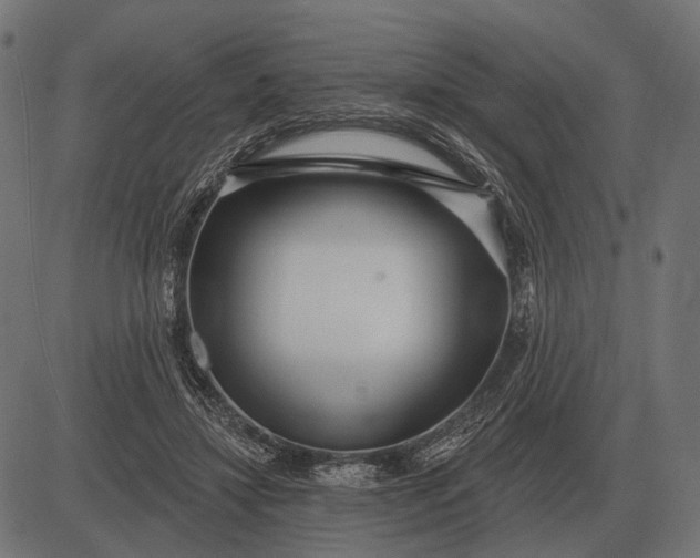 X0000082730452200702091842