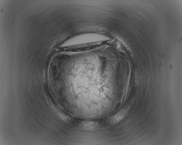 X0000082730453200702091842