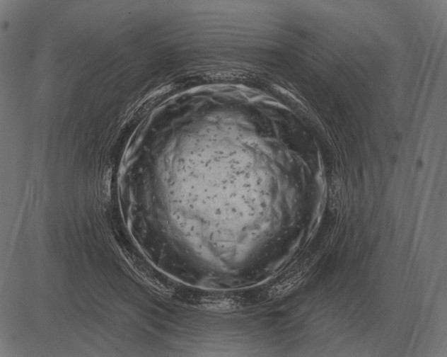 X0000082730454200702091842