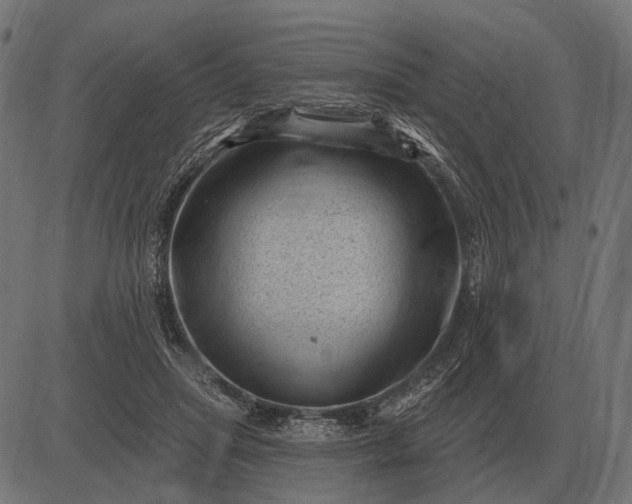 X0000082730455200702091842