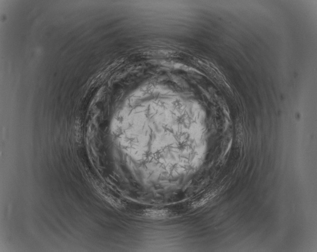 X0000082730457200702091842