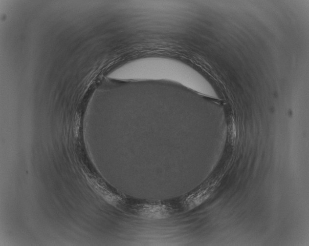 X0000082730458200702091842