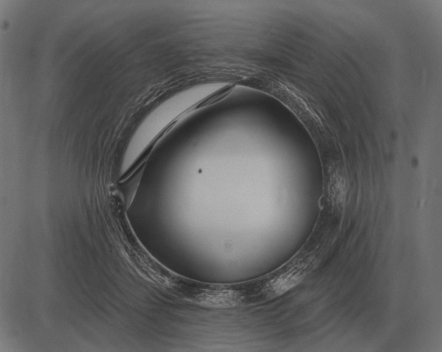 X0000082730459200702091842