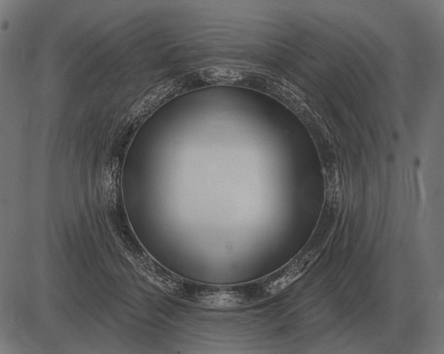 X0000082730460200702091842