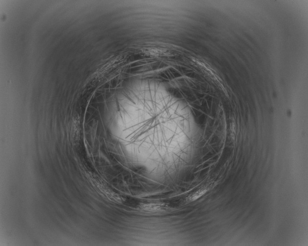 X0000082730461200702091842