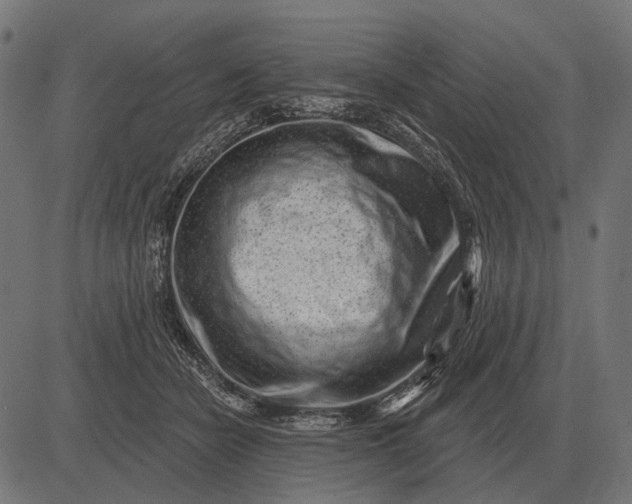 X0000082730462200702091842