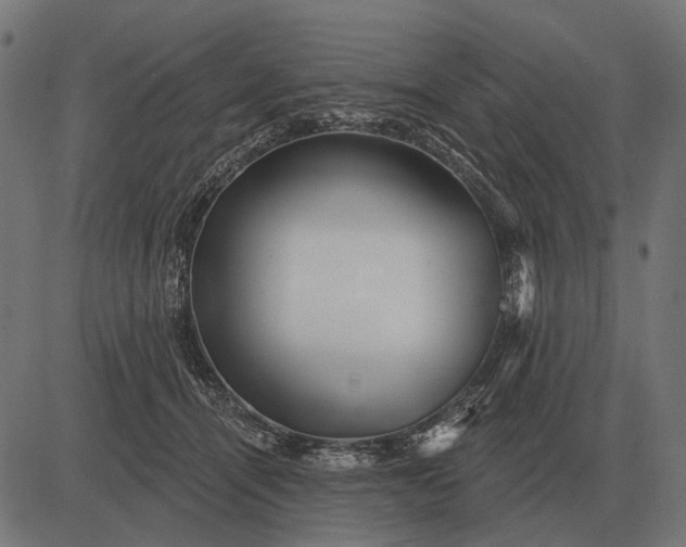 X0000082730464200702091842