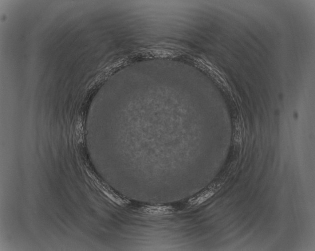 X0000082730465200702091842