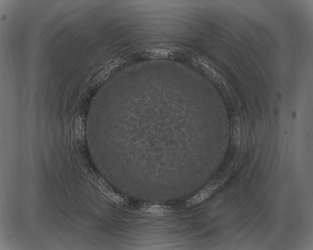 X0000082730467200702091842