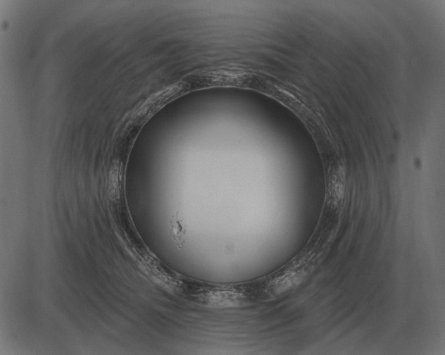 X0000082730468200702091842