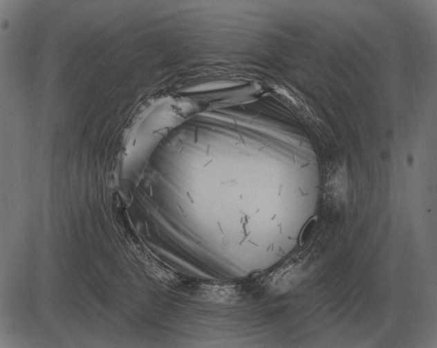 X0000082730469200702091842