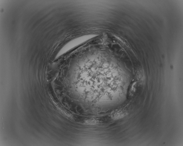 X0000082730470200702091842